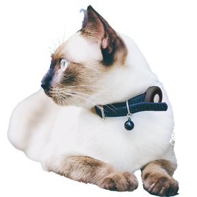 Pet GPS Tracking For Cats & Dogs - Hashtag Online Shop Australia 