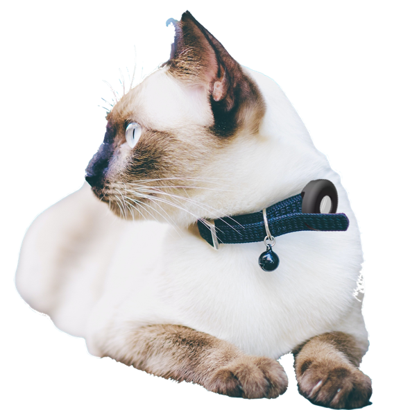 Pet GPS Tracking For Cats & Dogs - Hashtag Online Shop Australia 